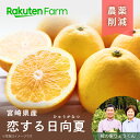 恋する日向夏（ひゅうがなつ）約3kg/約5kg◆4月下旬～6月上旬頃お届け予定◆ほのかな酸味と高まった糖度のバランスが非常に心地良い！◆緑の里りょうくん　楽天ファームこだわり農家直送◆送料無料