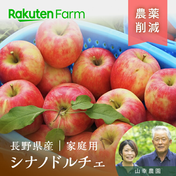 【発送中】農薬50％削減の長野りんご”シナノドルチェ” 約3kg/5kg/10kg(訳あり家庭用) ｜2025年は9/15〜30頃出荷予定｜山幸農園　楽天ファームこだわり農家直送のサムネイル