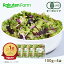 100%オーガニック 野菜サラダ 100g x 4袋【ミックス】 2,100円