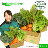おまかせオーガニック野菜セットSサイズ(4品)