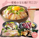 愛媛の宝石箱!海鮮グルメ味わいバラエティセット