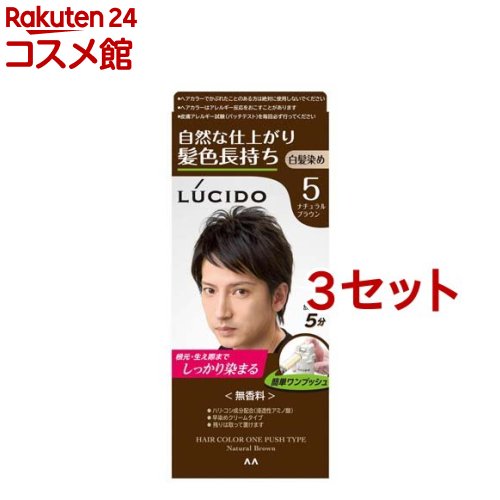 ルシード ワンプッシュケアカラー 5 ナチュラルブラウン(50g+50g*3セット)【ルシード(LUCIDO)】