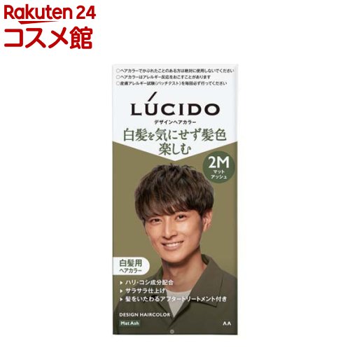 LUCIDO(ルシード) デザインヘアカラー マットアッシュ 白髪染め メンズ(1セット)【ルシード(LUCIDO)】