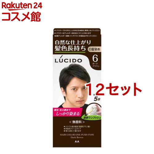 ルシード ワンプッシュケアカラー 6 ダークブラウン(50g+50g*12セット)【ルシード(LUCIDO)】