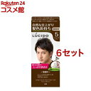 ルシード ワンプッシュケアカラー 5 ナチュラルブラウン(50g+50g*6セット)【ルシード(LUCIDO)】