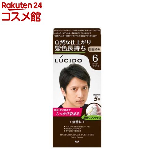 ルシード ワンプッシュケアカラー 6 ダークブラウン(50g+50g)【ルシード(LUCIDO)】[白髪染め]