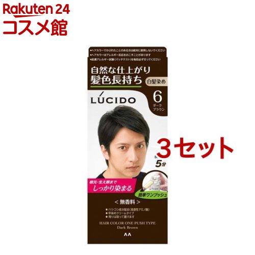 ルシード ワンプッシュケアカラー 6 ダークブラウン(50g+50g*3セット)【ルシード(LUCIDO)】