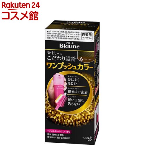 ブローネ ワンプッシュカラー 6 ダークブラウン(80g)【ブローネ】[白髪染め]