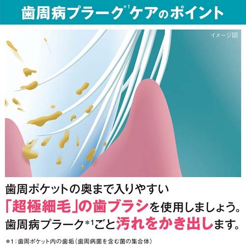システマ ハブラシ しっかり毛腰タイプ 超コンパクト ふつう(1本入*6コセット)【シ...