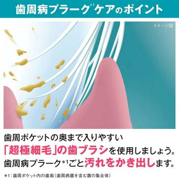 システマ ハブラシ しっかり毛腰タイプ コンパクト かため(1本入*6コセット)【システマ】