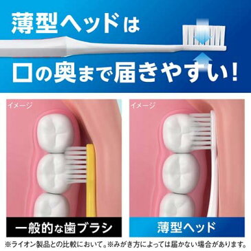システマ ハブラシ しっかり毛腰タイプ コンパクト かため(1本入*6コセット)【システマ】