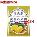 湖池屋 ファーム 黄金の果肉 焼き塩(12袋入×2セット(1袋55g))