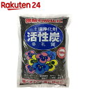 アミノール化学研究所 活性炭(500g)