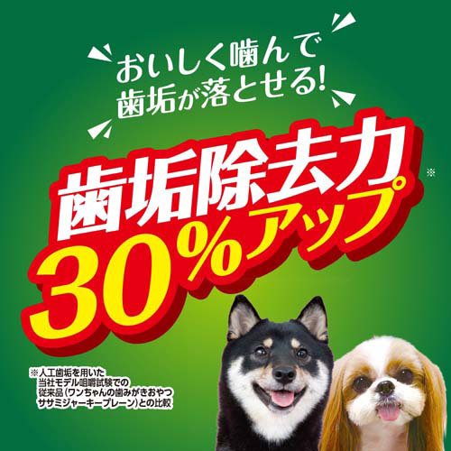 PK ワンちゃんの超歯みがきおやつ ベジポテサンド(100g×10セット)【ペットキッス】