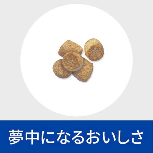 w／d ダブリューディー チキン 猫用 特別療法食 キャットフード ドライ(500g*12袋セット)【ヒルズ プリスクリプション・ダイエット】