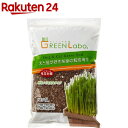 【3個セット】エイム 犬と猫が好きな草のタネ 200g×3個セットペット 犬 猫 健康食品 猫草の種 おやつ