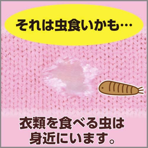 ムシューダ 1年間有効 防カビ剤配合 衣類 防虫剤 クローゼット用 無香タイプ(3個入)【ムシューダ】 2