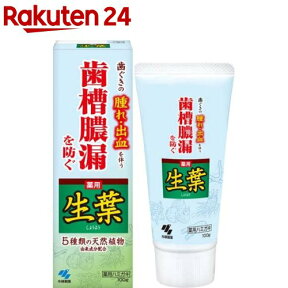 薬用歯みがき 生葉(100g)【生葉】[歯槽膿漏を防ぐ 和漢ハーブの香味 薬用ハミガキ]