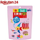 グリーンウォーター 保存に便利なパック付き クロレラ水 500ml スーパー生クロレラ使用 使用方法説明書付き