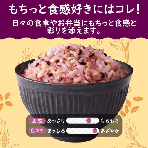 サンプル画像3