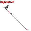 HATACHI(ハタチ) ウエルネス ポール AGPツアーセクター2 WH1481 レッド 62 S(1組)【HATACHI(ハタチ)】(4)