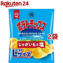 湖池屋 ポテトチップス じゃがいもと塩 Largeサイズ(126g*2袋セット)