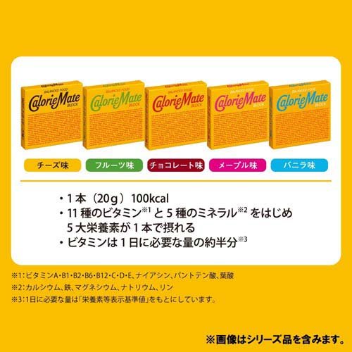 カロリーメイト ブロック フルーツ味(4本入(80g)*10コセット)【o9c】【カロリーメイト】