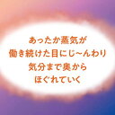 めぐりズム 蒸気でホットアイマスク カモミールの香り(12枚入)【めぐりズム】 2