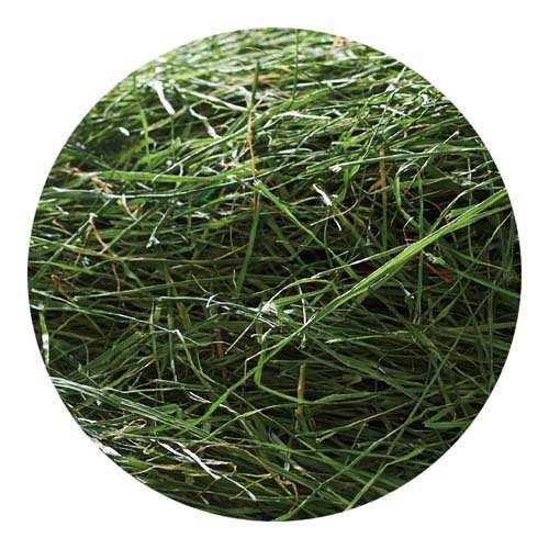 旬牧草 毎日ごほうびイタリアンライグラス(20g×24セット)