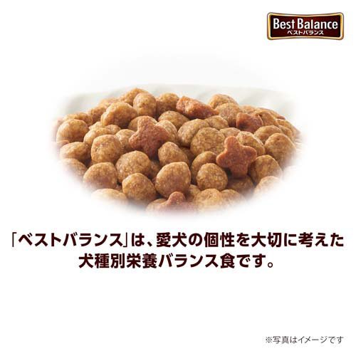 ベストバランス カリカリ仕立て 柴犬用 ドッグフード ドライ ユニチャーム(4kg*2セット)【ベストバランス】 (3)