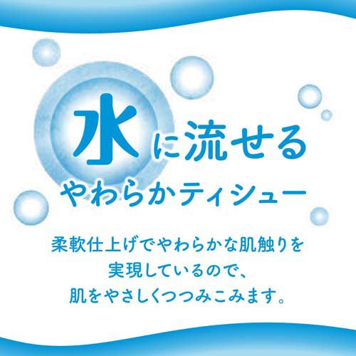 エリエール 水に流せるポケットティシュー オーデュス(10組*16コ入*3コセット)【エリエール】[ティッシュ]
