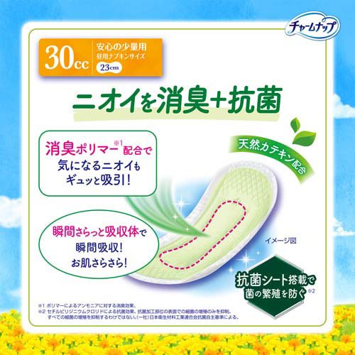 楽天24のチャームナップ 安心の少量用 消臭タイプ 女性用軽失禁パッド 23cm(20枚入×5セット)【チャームナップ軽度】｜アングル3
