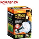 エキゾテラ サングロー タイトビームバスキングスポットランプ 75W PT2136(1コ入)【エキゾテラ】