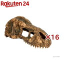 エキゾテラ T-REXスカルS PT2860(16セット)【エキゾテラ】