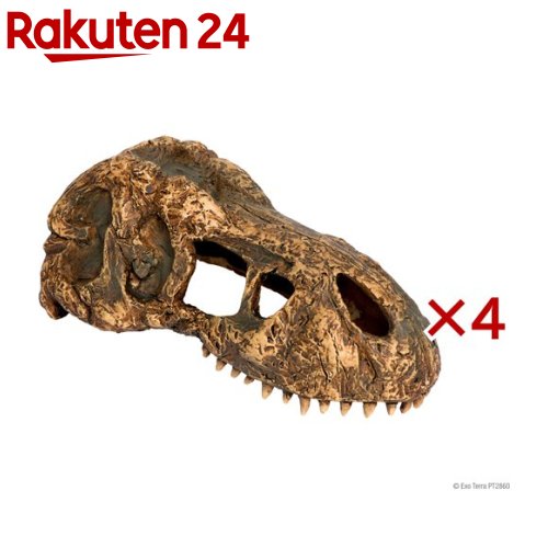 お店TOP＞ペット用品＞爬虫類・両生類用品＞爬虫・両生類飼育用品＞レイアウト用品(爬虫・両生類用)＞エキゾテラ T-REXスカルS PT2860 (4セット)【エキゾテラ T-REXスカルS PT2860の商品詳細】テラリウムのアクセントになる、爬虫類、両生類用のアクセサリーです。 入口が多く、生体が出入りしやすい構造なのでシェルターとしても適しています。【使用方法】本製品を軽く水洗いしてからご使用下さい。【規格概要】ポリレジン【注意事項】・本製品は爬虫類・両生類飼育専用です。他の目的には使用しないでください。・本製品を落とした場合、割れて手などを切る恐れがあります。割れた場合は、ご使用にならないでください。・お手入れの際は、タワシでこすったり、洗剤やアルコール、有機溶剤などを使用しないでください。・長期間の紫外線照射など、飼育環境によっては色落ち、劣化することがあります。【原産国】中国【ブランド】エキゾテラ【発売元、製造元、輸入元又は販売元】GEX(ジェックス)こちらの商品は、ペット用の商品です。※説明文は単品の内容です。リニューアルに伴い、パッケージ・内容等予告なく変更する場合がございます。予めご了承ください。・単品JAN：4972547032911GEX(ジェックス)大阪府東大阪市今米1-14-5072-966-0054広告文責：楽天グループ株式会社電話：050-5577-5043[小動物・鳥・は虫類・昆虫/ブランド：エキゾテラ/]