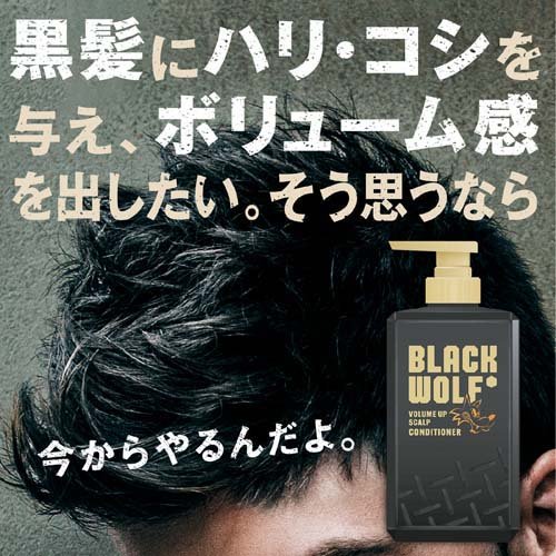 【楽天市場】ブラックウルフ ボリュームアップ スカルプ コンディショナー(380ml)【ブラックウルフ】(楽天24) | みんなのレビュー・口コミ