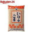 かどや製油 いりごま 白 業務用(1kg)【かどや】