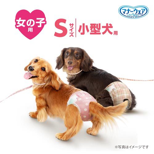 マナーウェア 女の子用 S ドットチェック 犬用 おむつ ユニチャーム(36枚入*4袋)【...