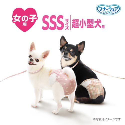 サンプル画像3