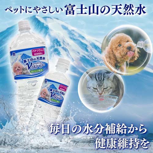 サンプル画像2