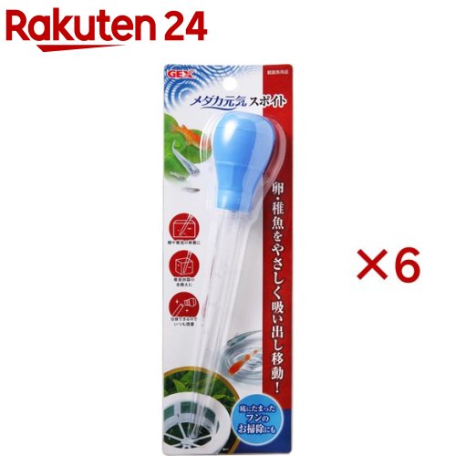 �����å��� ��������� ���ݥ���(6���å�)��GEX(�����å���)��