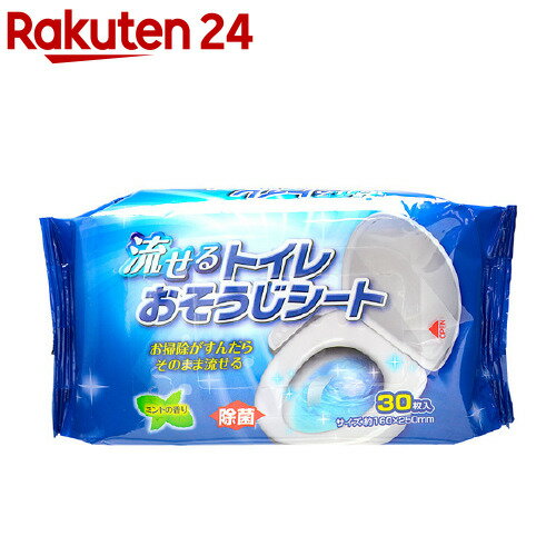 流せるトイレ掃除シート 除菌 ミントの香りQB-116N(30枚入)