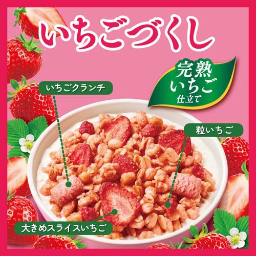 ごろグラ いちごづくし(320g×16セット)【ごろっとグラノーラ】 rakuten24-11392802 楽天24 サンプル画像2