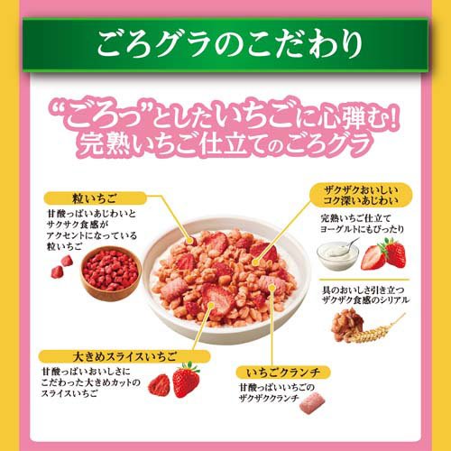 ごろグラ いちごづくし(320g×16セット)【ごろっとグラノーラ】 rakuten24-11392802 楽天24 サンプル画像3