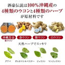 琉球 酒豪伝説(120包(6包袋*20袋))【琉球 酒豪伝説】 3