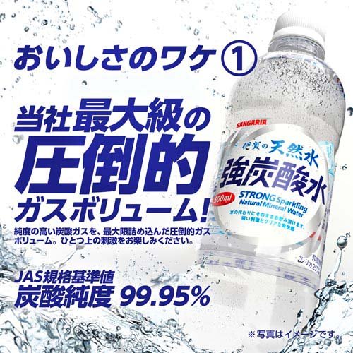 サンガリア 伊賀の天然水 強炭酸水(500ml*48本セット)【サンガリア 天然水炭酸水】