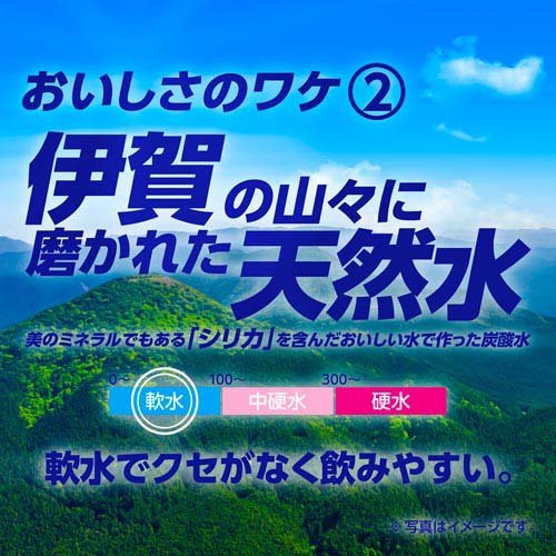 サンガリア 伊賀の天然水 強炭酸水(500ml*48本セット)【サンガリア 天然水炭酸水】