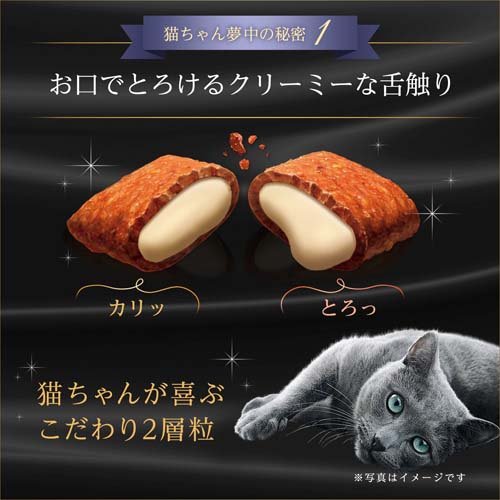 シーバ デュオ 5種 プラスセット 猫用(1セット)【シーバ(Sheba)】[キャットフード ドライフード おやつ]