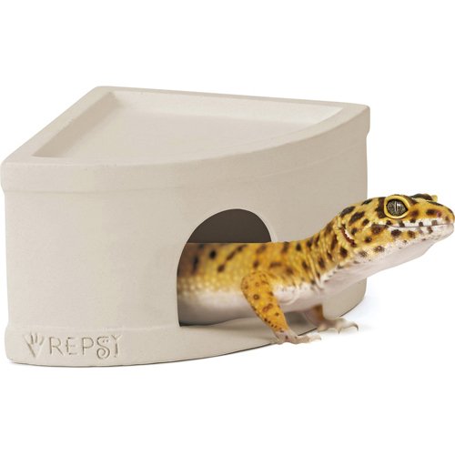 REPSI ジオシェルター M 爬虫類用(3セット)