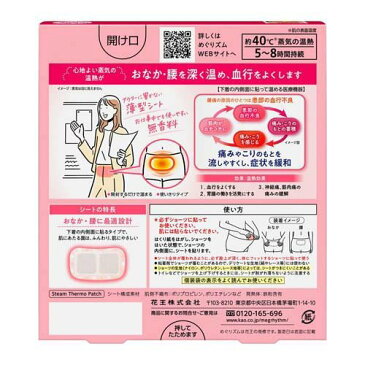 めぐりズム 蒸気の温熱シート 下着の内側面に貼るタイプ(5枚入*2コセット)【めぐりズム】